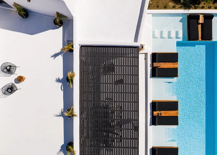 Willa Psarou Black *